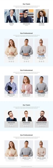Corporate Team Module by Evethemes